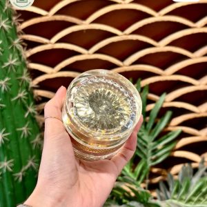 hũ đựng kem dưỡng acrylic