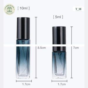 Chai chiết nước hoa dung tích 30ml thiết kế hình bầu dục dẹt cầm tay mã T17