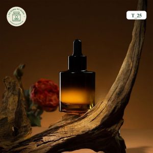 Mẫu chai Serum thủy tinh cao cấp mã T_25