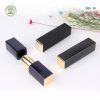 Mẫu vỏ son nam châm tối giản cao cấp ABS_10